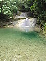 DSC05566.JPG