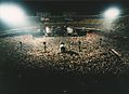 DeadConcert95.jpg
