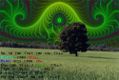 1282WishYouWereHereLyricsOnPlainWithPsychedelicSkyBackground.jpg
