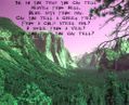 1282WishYouWereHereLyricsOnPsychedelicValleyBackground.jpg