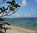 coralcoast.jpg