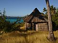 fijibure.jpg