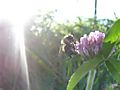 aug_6th_011.jpg