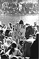 Protest_by_the_Reflecting_Pool_Wash_DC_.jpg