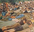 hippies13.jpg