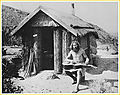 hippies19.jpg