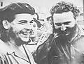 r60sche_fidel.jpg