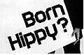 born.JPG