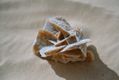 10034rose_de_sable.jpg