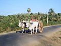 A_Bullock_Cart_on_Road_Kerala.JPG