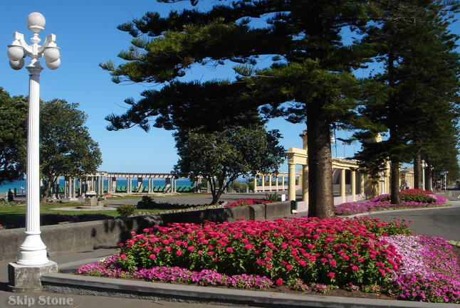 napier2