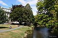 avonchristchurch.jpg