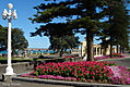 napier2.jpg