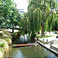 puntingontheavon.jpg