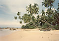 srilankabeach.jpg
