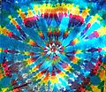 turquoise_rainbow_spyder_1.JPG