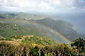 tortola3.jpg
