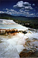 mammothhotsprings.jpg