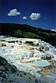 mammothhotsprings2.jpg