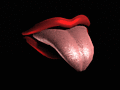 Flirty-Comments_078.gif