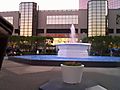 photo15.jpg