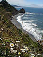 coast1.jpg