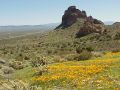1009MtNuttWilderness.jpg