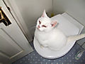 DSCF0439.jpg
