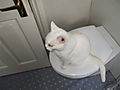 DSCF0440.jpg