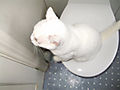 DSCF0443.jpg