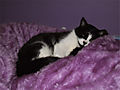 DSCF0507.jpg