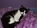 DSCF0508.jpg