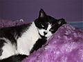 DSCF0512.jpg