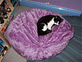 DSCF0518.jpg