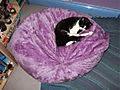 DSCF0520.jpg