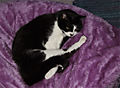 DSCF0521.jpg