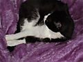 DSCF0524.jpg