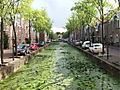 DSCF0239.jpg