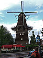 DSCF0253.jpg