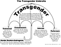 transgenderumbrella.gif