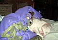 IMG_0893.JPG
