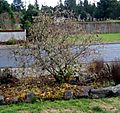 IMG_0877.JPG
