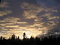 IMG_0917.JPG