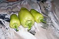 Holly_s_peppers.jpg