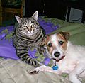 Max_and_Trouble.jpg