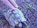 DSC02502.JPG