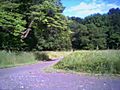 Long_Dirt_Road.JPG