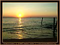 avalonsunset.jpg