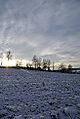 winter_6.jpg