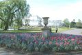 80tulipss.jpg